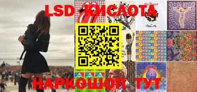 крисы Новодвинск