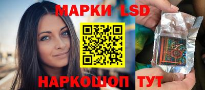 крисы Новодвинск