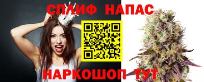 крисы Новодвинск