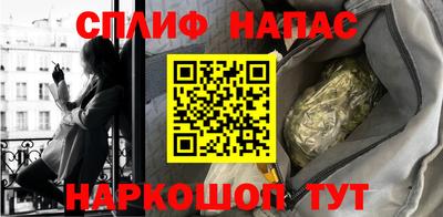 крисы Новодвинск