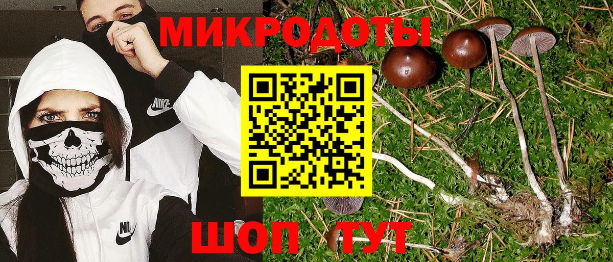 Псилоцибиновые грибы прущие грибы Славянск-на-Кубани