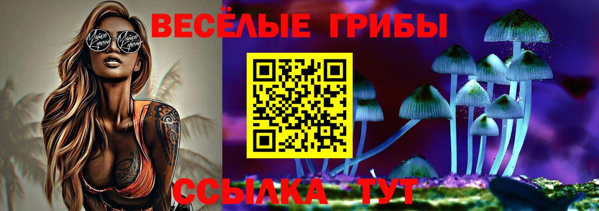 Славянск-на-Кубани  Галлюциногенные грибы ЛСД  Вход с VPN 